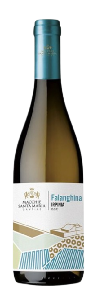 MACCHIE S.MARIA IRPINIA FALANGHINA