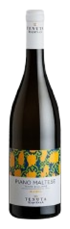 Viviri Grillo BIO DOC (Copy)